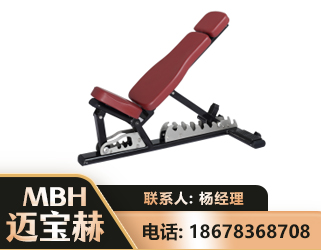 深圳可调哑铃椅